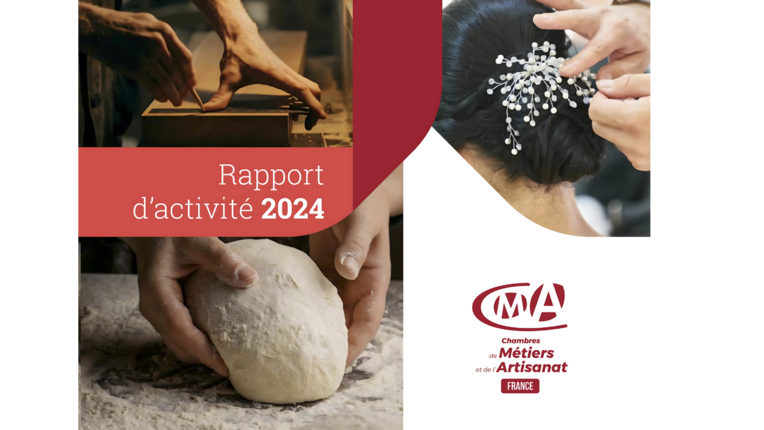 Rapport activite 2024