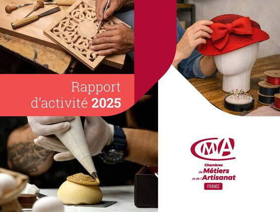 RAPPORT ACTIVITE 2025