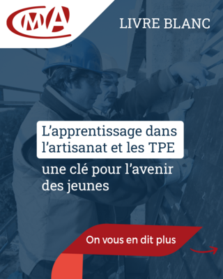 Livre blanc apprentissage