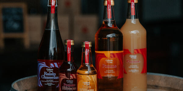 Chateau du Clau