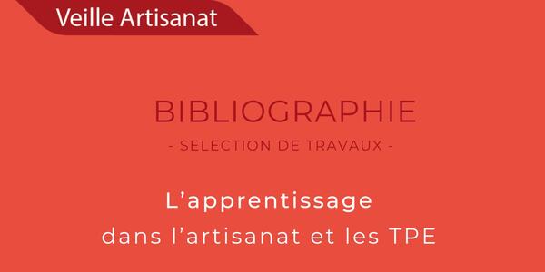 Bibliographie_apprentissage_visuel long