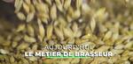 Métier de brasseur