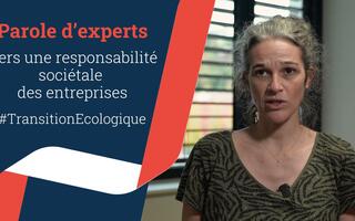 Environnement_ExpertRSE_réseauCMA