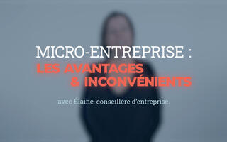Vidéo expert Micro-entreprise : les avantages et inconvénients avec Elaine