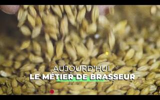 Métier de brasseur