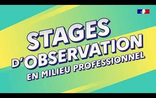 Stages d'observation en milieu professionnel : déposez vos offres !
