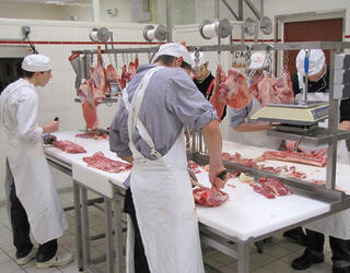 CMA Formation IFORM - boucherie