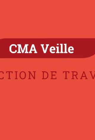 CMA Veille apprentissage
